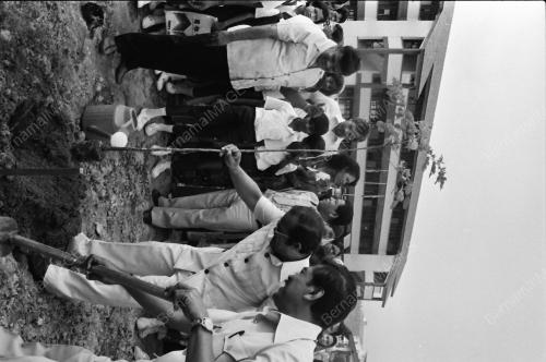 TANAM POKOK