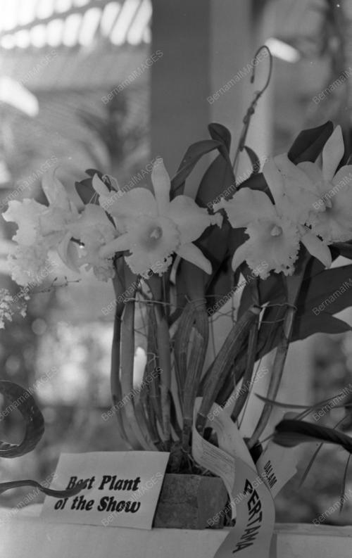 SG09_23102015_AGASIA