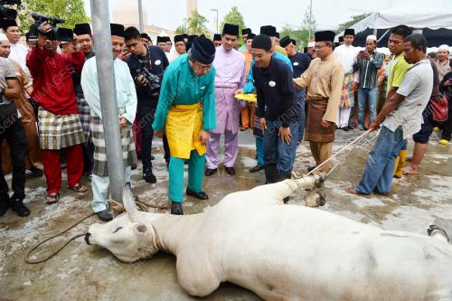 SG09_24092015_RAYA_KORBAN