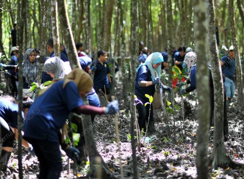 SG09_24092016_MBAM