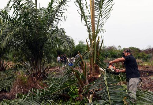 HUTAN SIMPAN KUALA LANGAT SELATAN