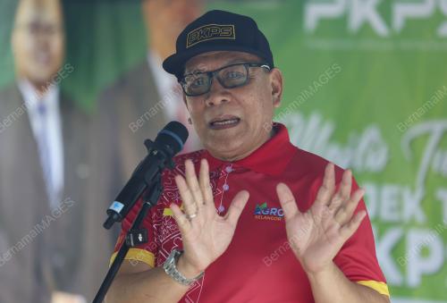 LADANG BAWANG MERAH KECIL