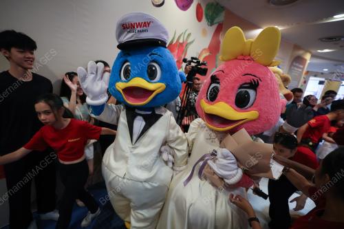 CAPTAIN QUACK AND LADY QUACK WEDDING