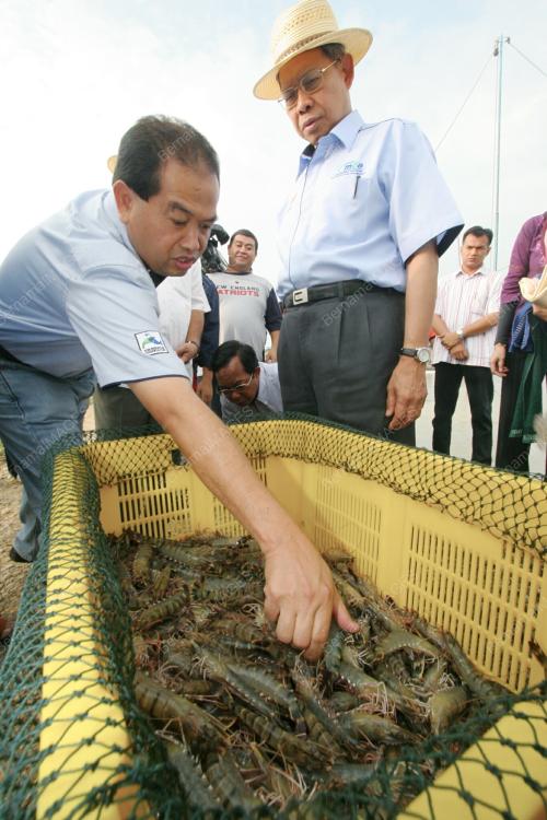 MUSTAPA MOHAMED