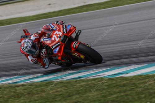 ENEA BASTIANINI