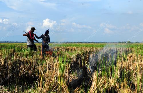 AKTVITI PELADANG DALAM TEMPOH SEKATAN PERGERAKAN PENUH