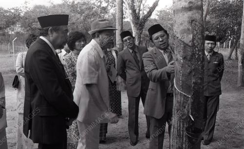 TUANKU JA'AFAR