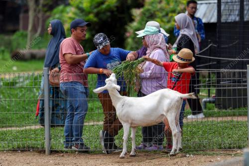TINJAUAN CUTI SEKOLAH