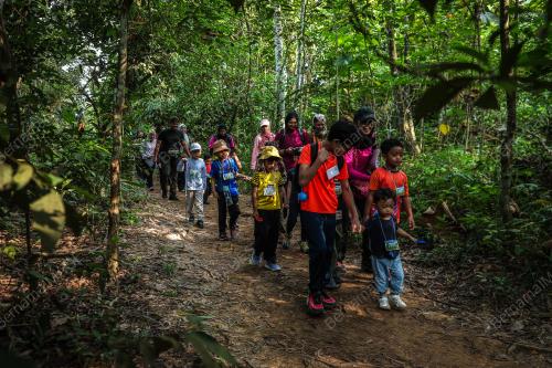 TODDLERS FOREST EXPLORATION