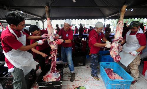 SG10_11082019_KORBAN_BN201908