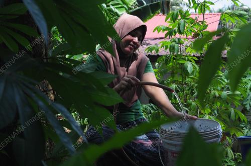 TINJAUAN ORANG KAMPUNG MENYIMPAN AIR BERSIH