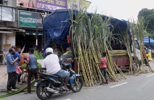 PERSIAPAN TERAKHIR PERAYAAN PONGGAL 2022