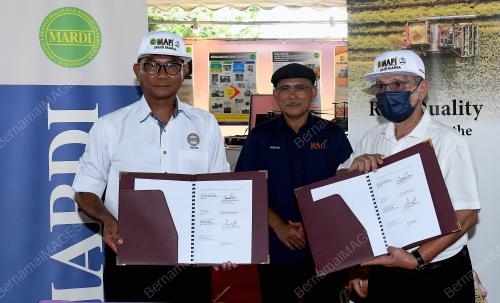 VARIETI BAHARU PADI SPESIALTI MARDI