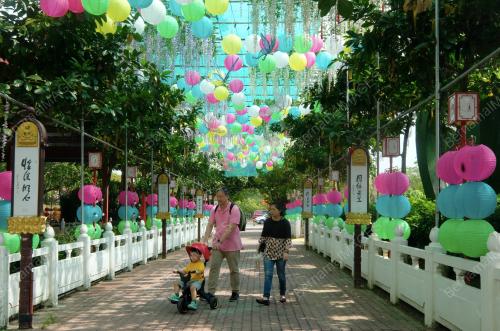 SG10_16012019_CNY_FGS