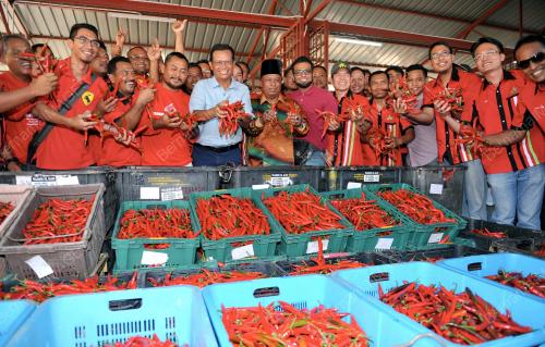 SG10_22012016_LADANG_CILI