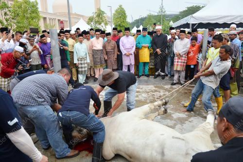 SG10_24092015_RAYA_KORBAN