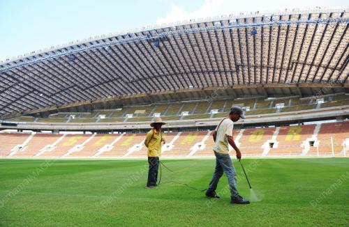 PIALA MALAYSIA