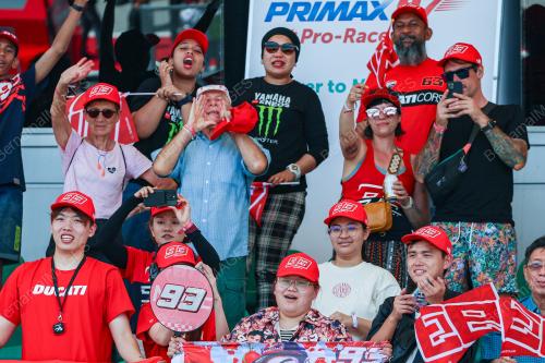 MOTOGP 2024