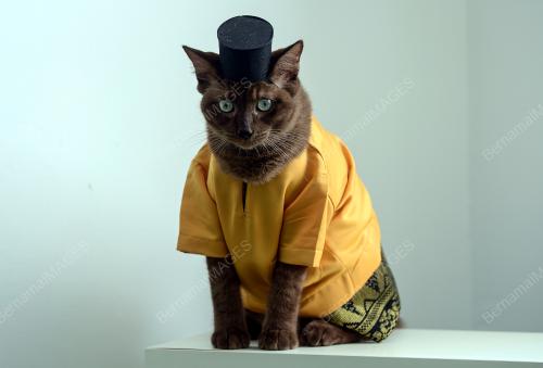 BAJU MELAYU, KURUNG LENGKAPKAN SYAWAL SI BULUS 