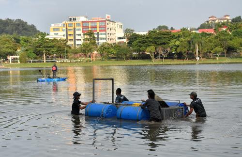 BUAYA TEMBAGA TASIK SEKSYEN 7 SHAH ALAM