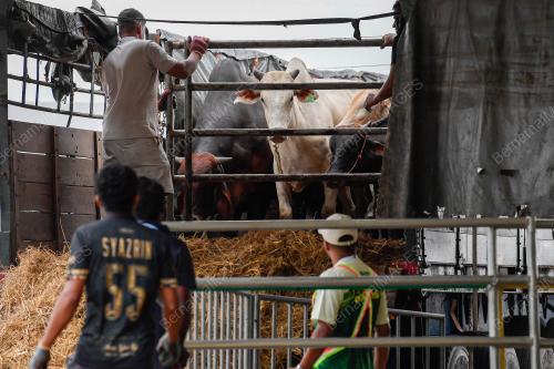 KARNIVAL IBADAH QURBAN