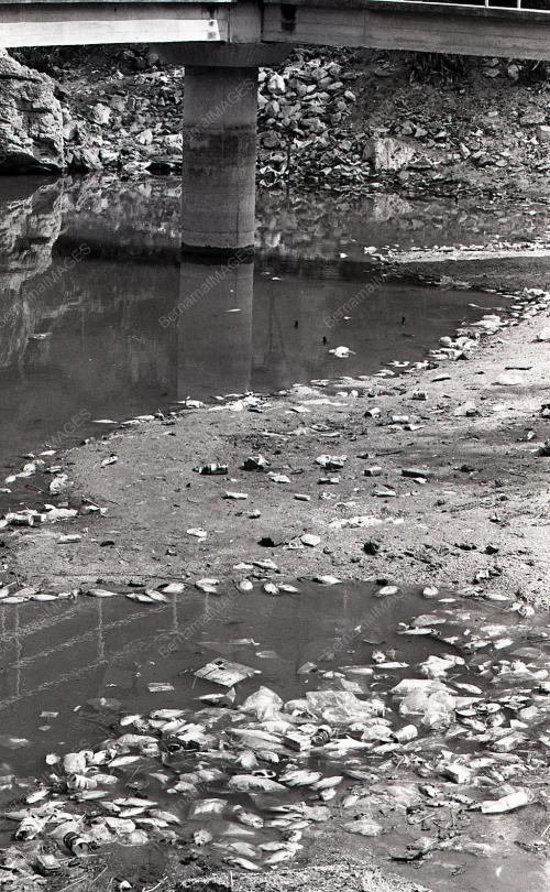 SAMPAH SARAP