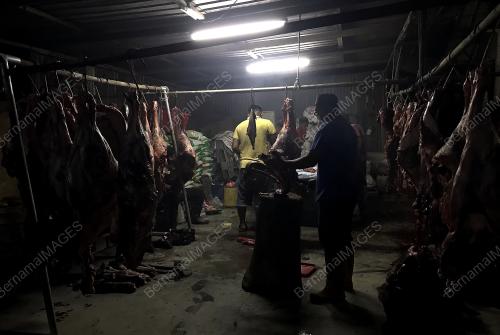 DAGING LEMBU SEGAR