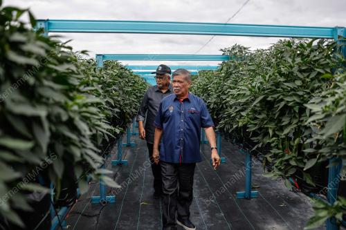 DATUK SERI MOHAMAD SABU