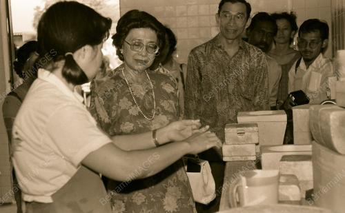 SG11_170390_INSANIAH