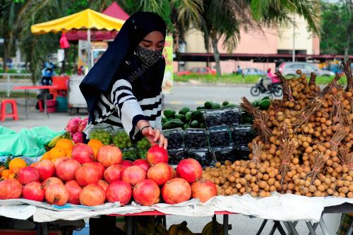 TINJAUAN PENJAJA KECIL (PERMAI)