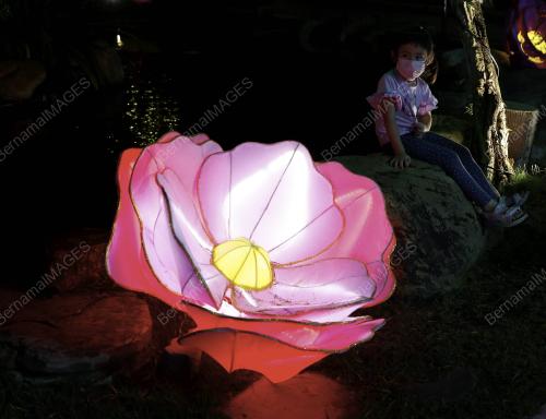 FESTIVAL TANGLUNG DAN BUNGA FGS 2023