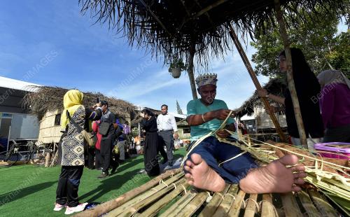 MINI KARNIVAL USAHAWAN DESA