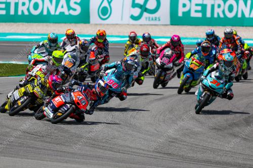 MOTOGP 2024