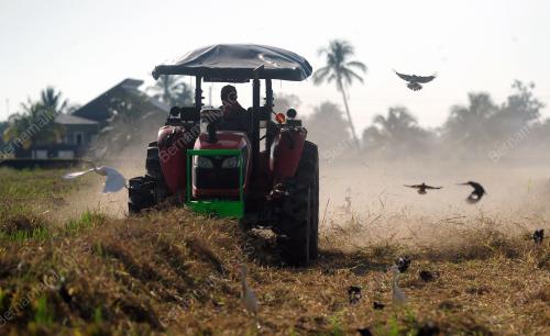 AKTVITI PELADANG DALAM TEMPOH SEKATAN PERGERAKAN PENUH