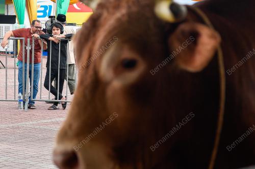 KARNIVAL IBADAH QURBAN