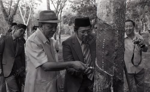 TUANKU JA'AFAR