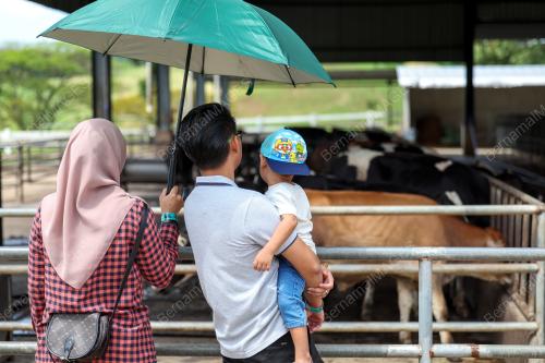 TINJAUAN CUTI SEKOLAH