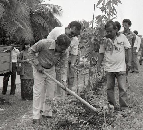 TANAM POKOK