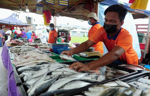 TINJAUAN DI PASAR TANI TTDI JAYA SHAH ALAM