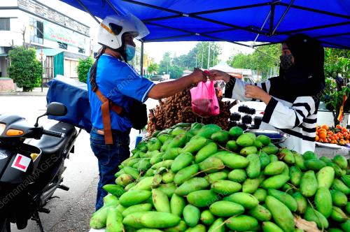 TINJAUAN PENJAJA KECIL (PERMAI)