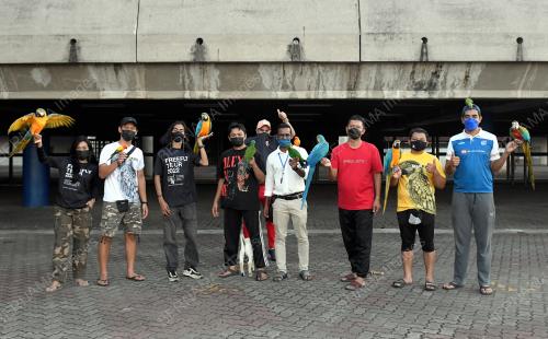 TINJAUAN KOMUNITI FREE FLY PARROT MALAYSIA DI SHAH ALAM