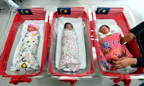 SAMBUTAN BAYI MERDEKA 2024