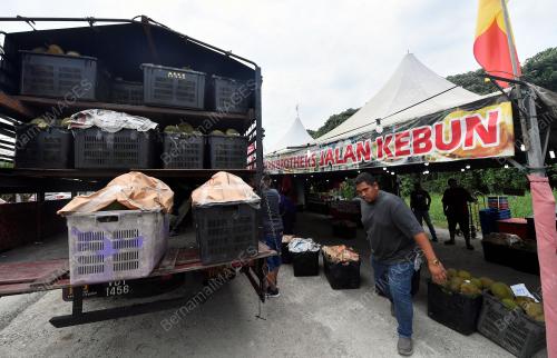 TINJAUAN PENJUAL RAJA BUAH