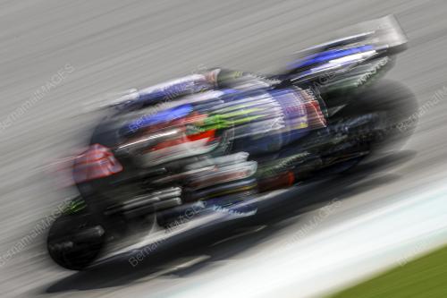 ALEX RINS