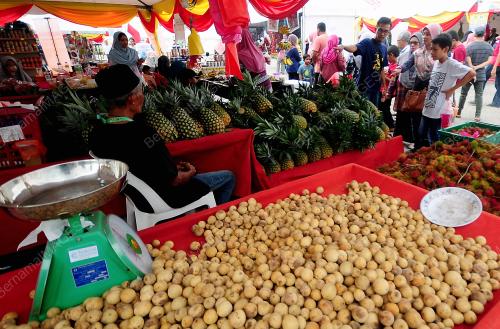 SG13_07092019_AGROFEST_BN201909060267