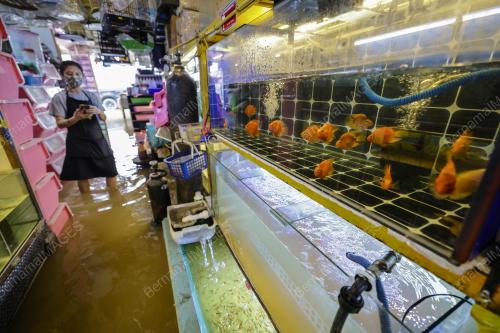 TINJAUAN BANJIR DI SEKITAR KLANG
