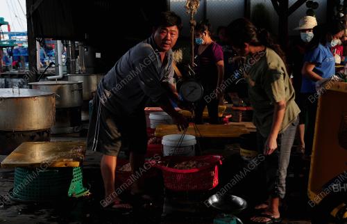 TINJAUAN AKTIVITI NELAYAN DALAM PKPB