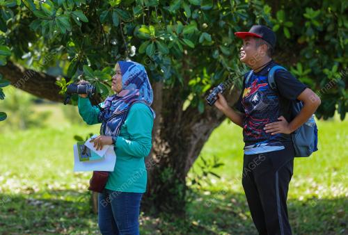 WINGS OF KKB SELANGOR BIRDS FAIR 2022