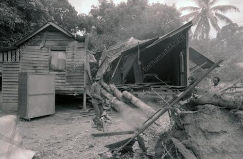 RUMAH DITIMPA POKOK DI KAMPUNG PAYA JARAS