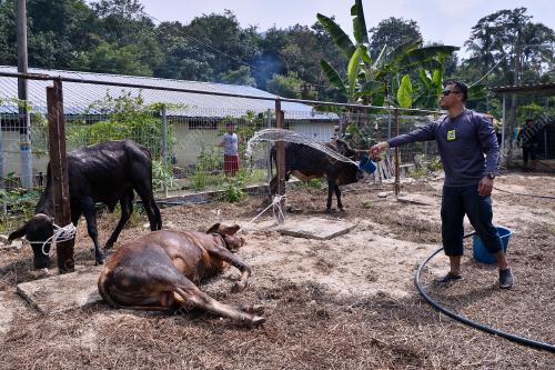 PERSIAPAN IBADAH KORBAN HARI RAYA AIDILADHA